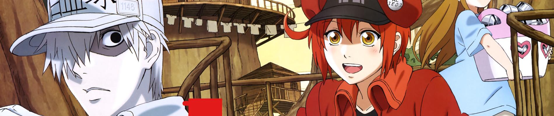 Banner for Cells at Work!!