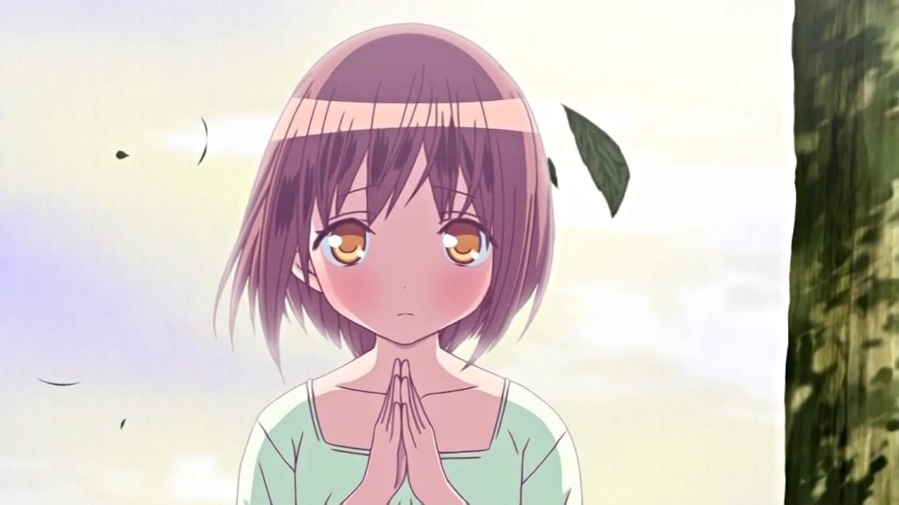 Banner for Momoiro Bouenkyou Anime Edition